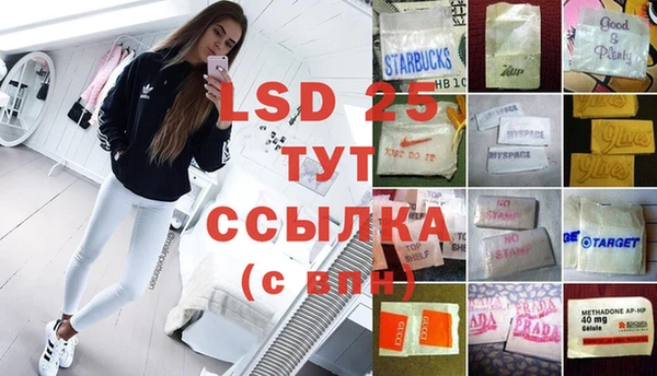 прущий лед Вяземский