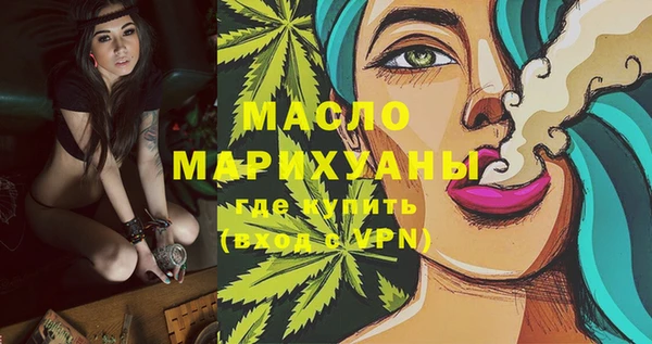 прущий лед Вяземский