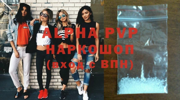 прущий лед Вяземский