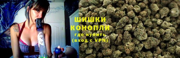 прущий лед Вяземский