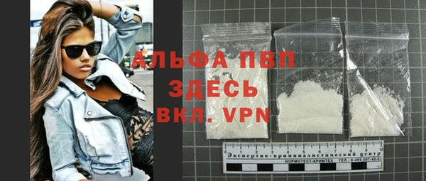 прущий лед Вяземский