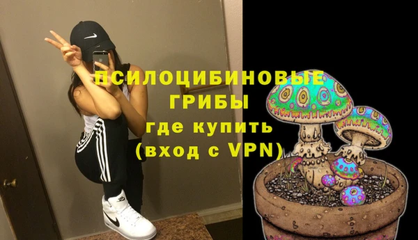 молекула духа Вязники