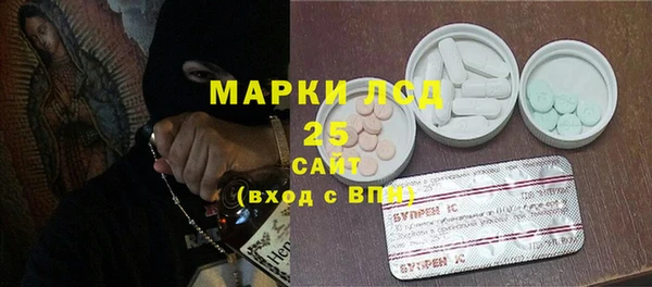 прущий лед Вяземский